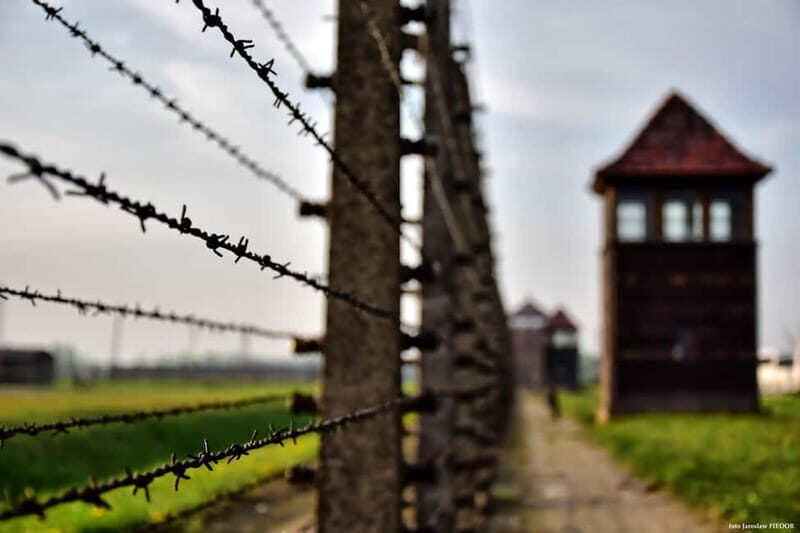 From Krakow: Auschwitz-Birkenau Guided Tour & Hotel Pickup - Who should book this Auschwitz-Birkenau guided tour?