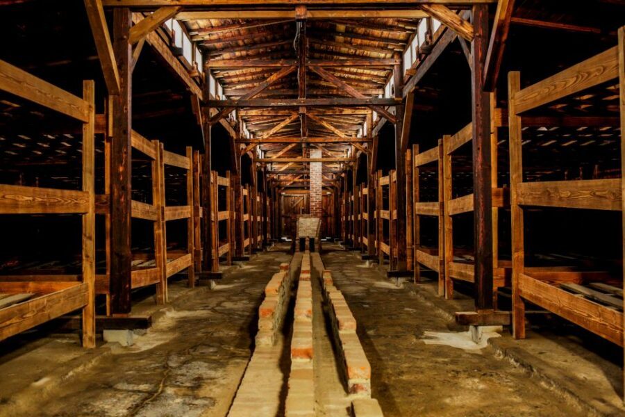 From Krakow: Auschwitz-Birkenau Tour with Transportation - Should You Book This Auschwitz-Birkenau Tour From Krakow?