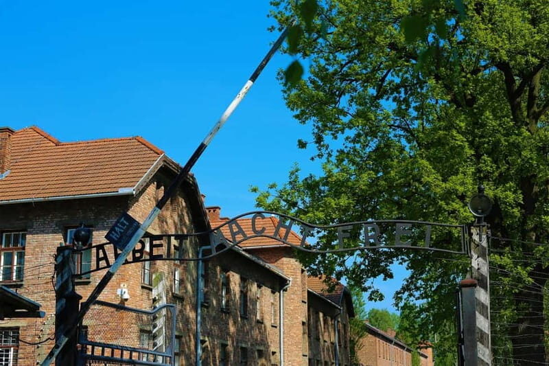 From Krakow: Auschwitz Museum and Wieliczka Salt Mine Tour - Key things I’d plan around