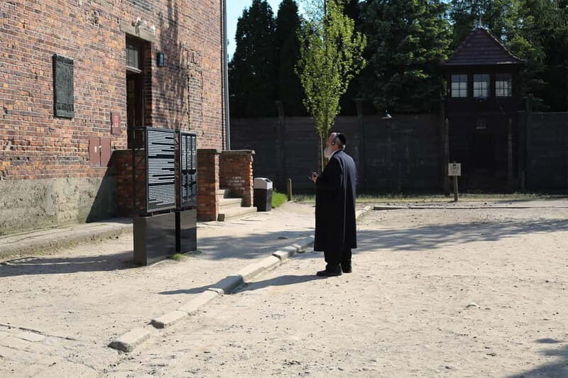 From Krakow: Auschwitz Museum and Wieliczka Salt Mine Tour - Who this tour fits best (and who might want a different plan)