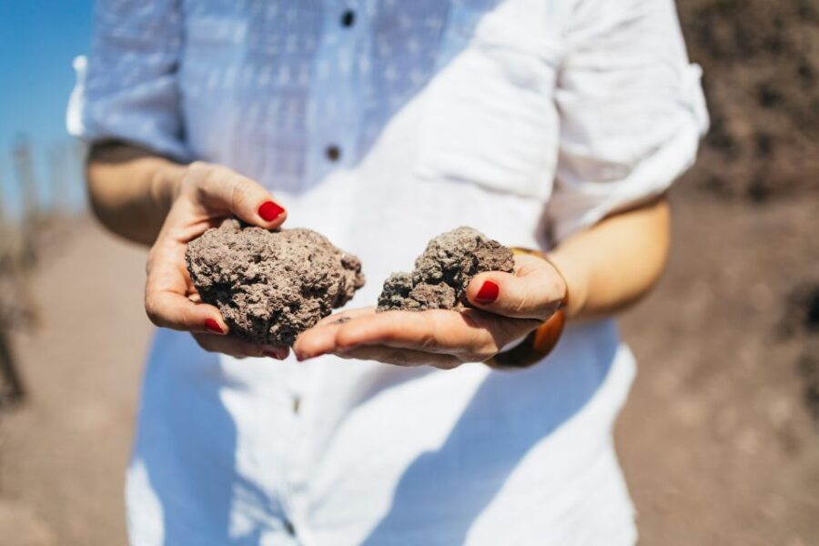 From Naples: All-Inclusive Mount Vesuvius Half-Day Tour - Self-directed hiking: what you’re responsible for