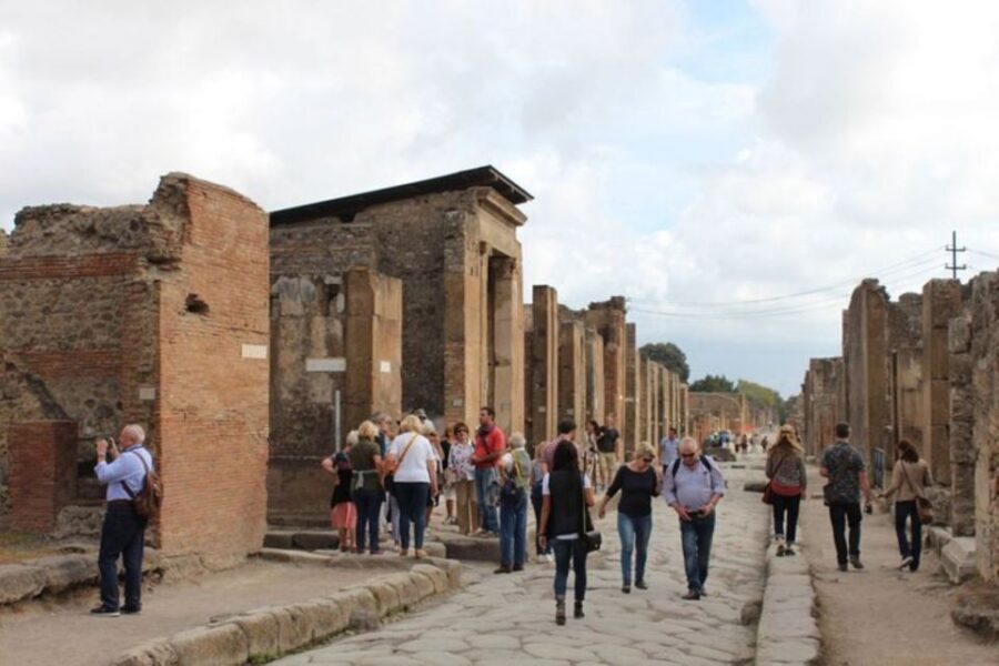 From Naples: Amalfi Coast, Sorrento, and Pompeii Tour - Van Comfort and Driver Skills: Why Transport Matters on the Amalfi Coast