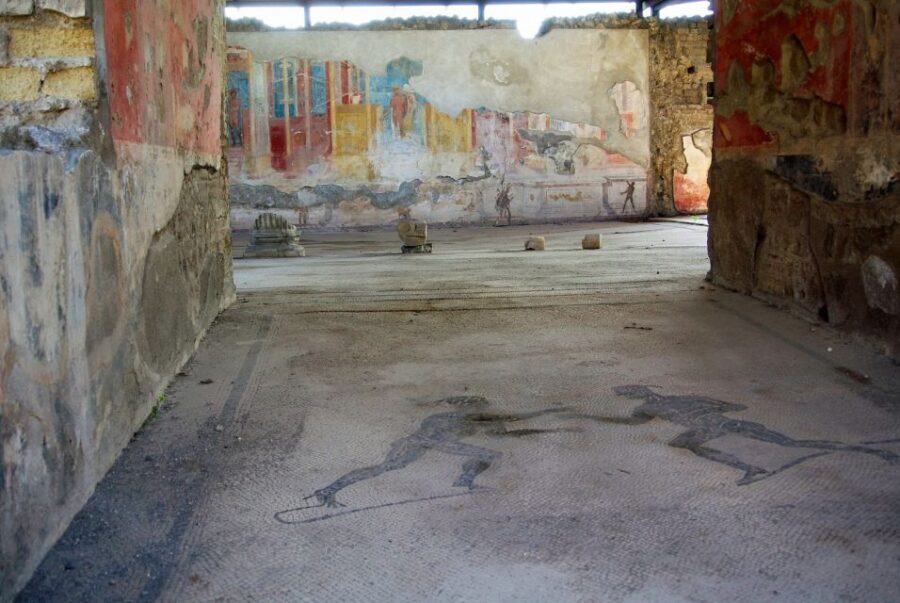 From Naples: Herculaneum, Mount Vesuvius & Pompeii Day Trip - Who this tour suits best (and who should rethink it)
