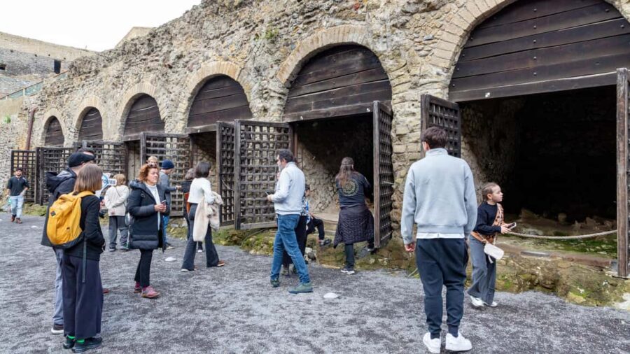From Naples: Herculaneum Skip-the-Line Guided Tour - Group size, audio, and bus comfort: the real-world details