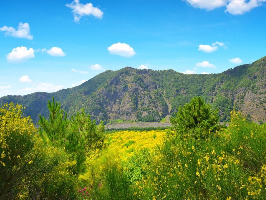 From Naples: Herculaneum, Vesuvius, and Pompeii Trip - Key things I’d watch for before you book