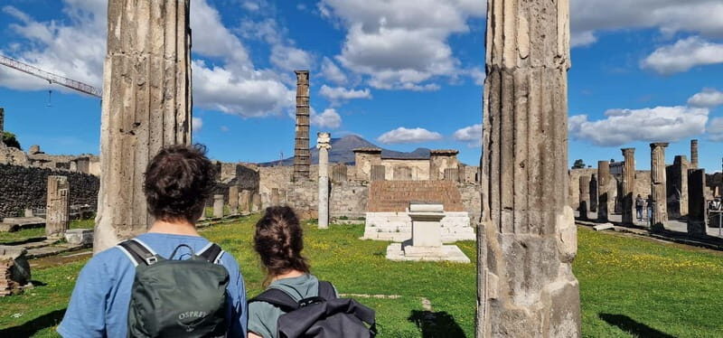 From Naples: Pompeii Private Tour with Transfer and Guide - Naples to Pompeii with round-trip hotel transfer