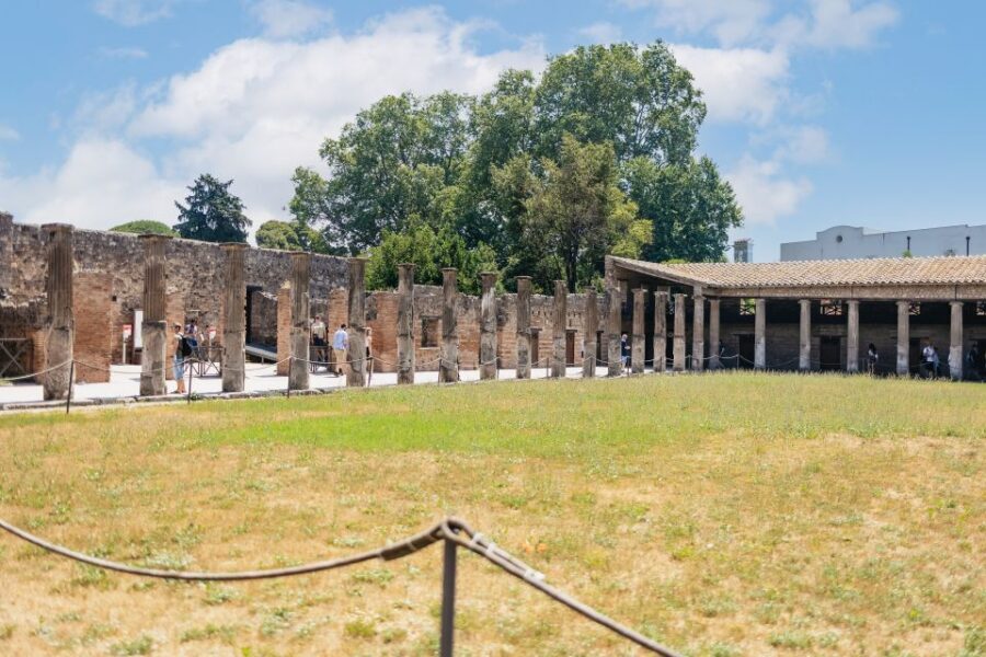 From Naples: Pompeii Ruins & Mount Vesuvius Day Tour - Mount Vesuvius: the climb, the crater edge, and the view