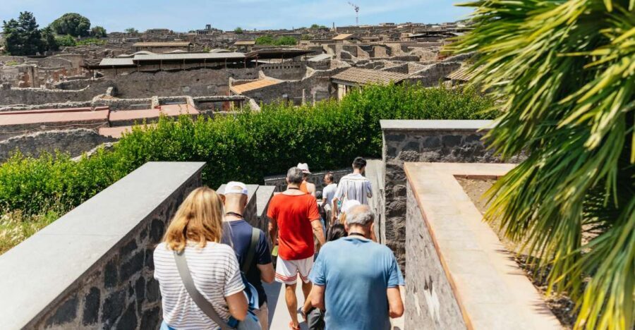 From Naples: Pompeii Ruins & Mount Vesuvius Day Tour - Price and value: what you really get for $120.84