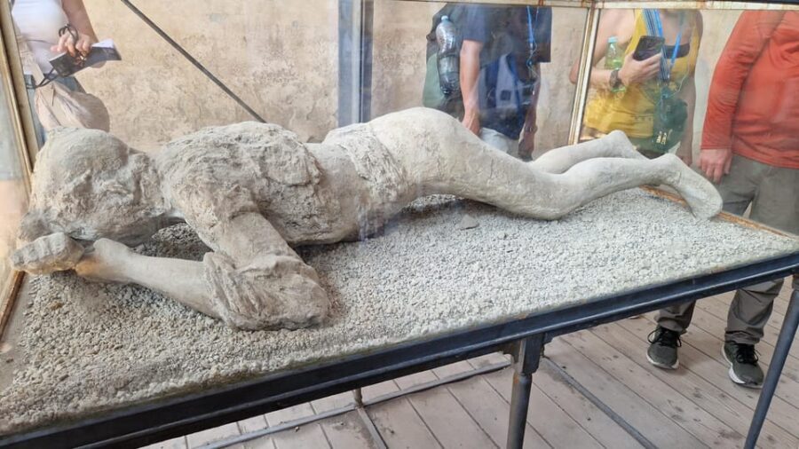 From Naples: Pompeii & Sorrento Shore Excursion with Lunch - Value check: what you get for a cruise-day price mindset