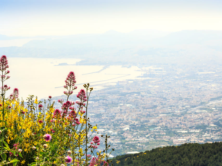 From Naples Port: Vesuvius and Pompeii Tour with Tickets - Why this Vesuvius + Pompeii day trip is such a smart use of limited time