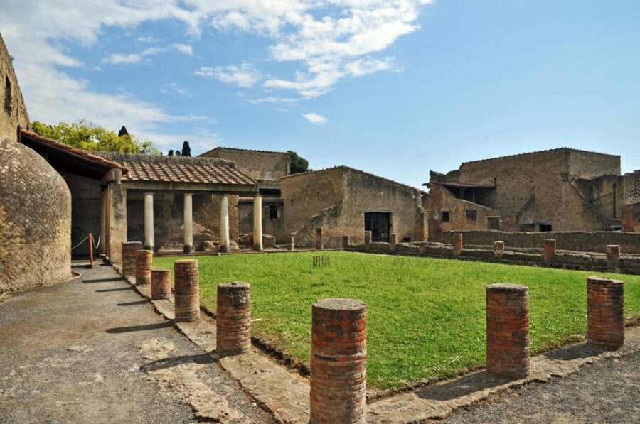 From Naples: Vesuvius and Herculaneum Day Trip with Tickets - Price and value: when skip-the-line matters most