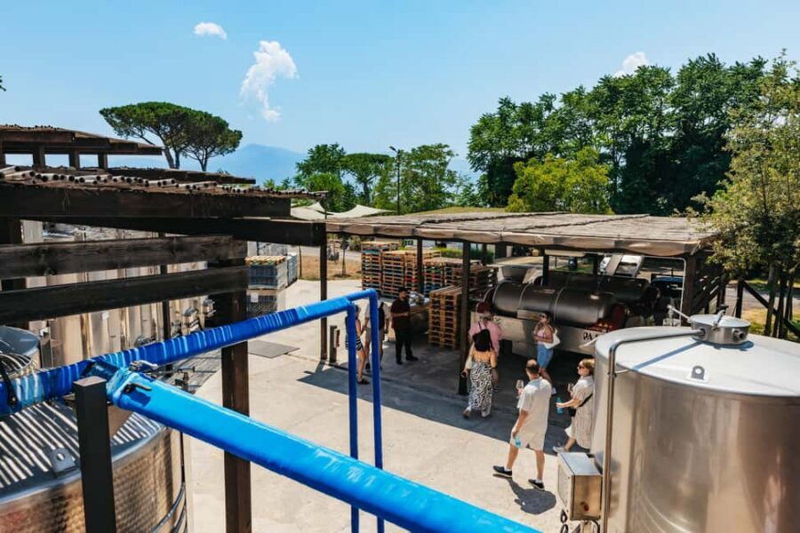 From Naples: Wine Tasting Tour on Vesuvius Slopes with Lunch - The lunch-and-tasting setup: terrace dining with Campanian pairings