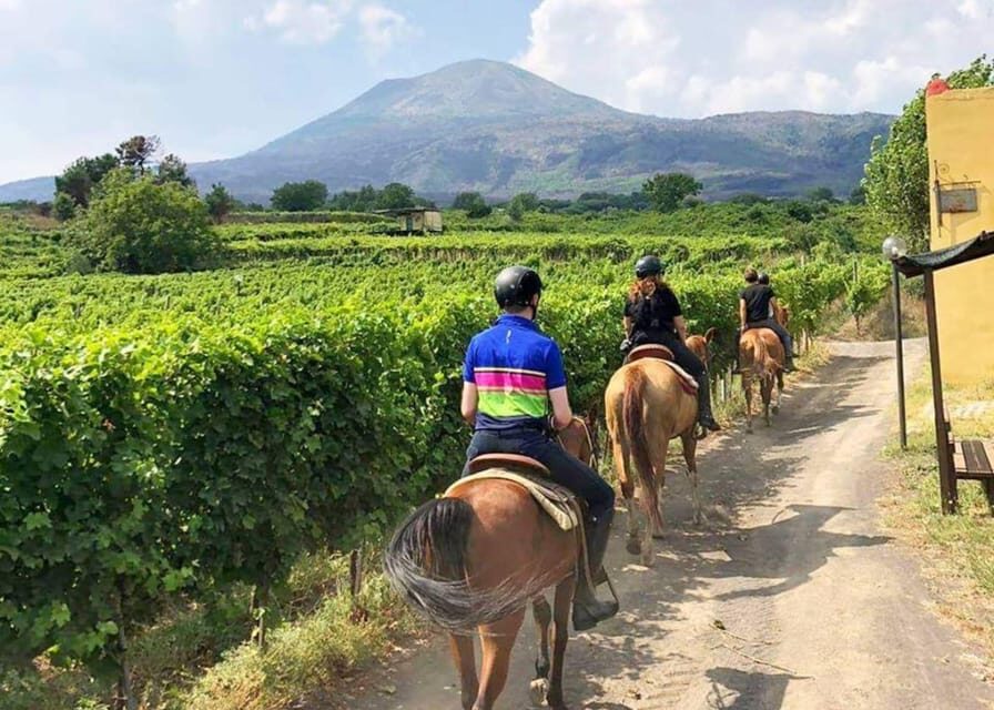 From Pompeii: Mount Vesuvius Horseback Riding Tour - Who this Mount Vesuvius horseback tour fits best