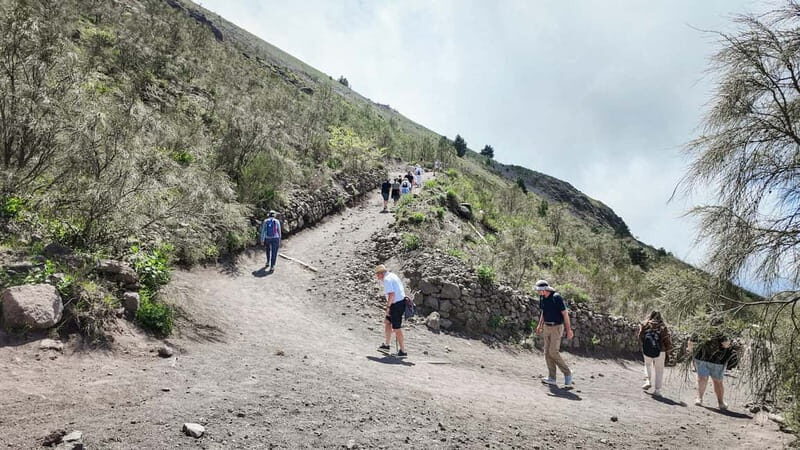 From Pompeii: Mount Vesuvius with bus, ticket and audioguide - Should You Book the Pompeii to Vesuvius Bus Tour?