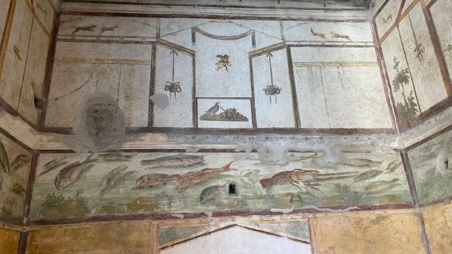 From Positano: Pompeii & Vesuvius tour small group - The Moment Pompeii Becomes Understandable