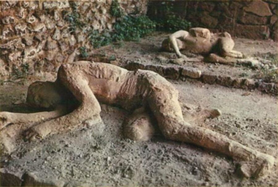 From Rome: Pompeii All-Inclusive Tour with Live Guide - Should You Book This Rome to Pompeii Tour?