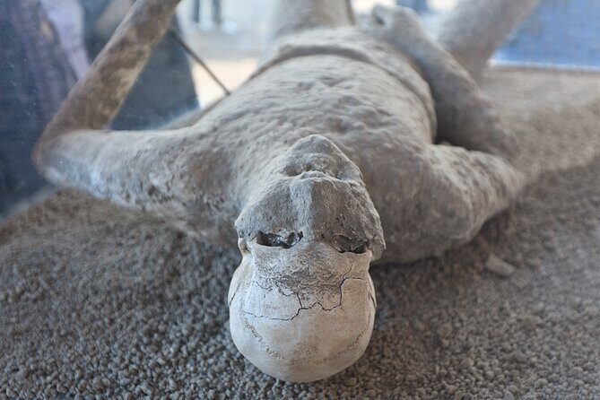 From Rome: Pompeii and Vesuvius Crater Experience with lunch - Key things I’d focus on before you go