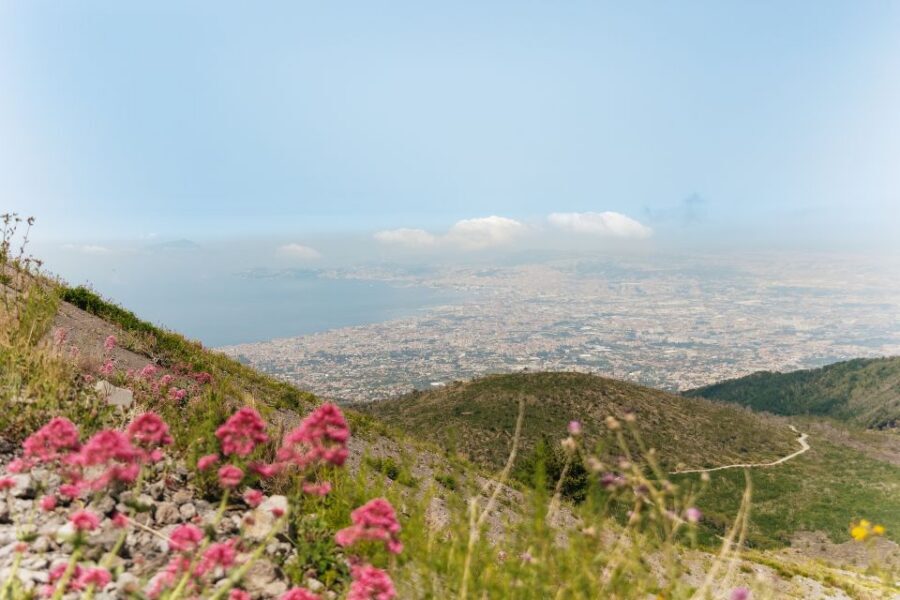 From Rome: Pompeii Day Trip with Optional Vesuvius and Lunch - Lunch by the Bay of Naples: what you should expect from the meal