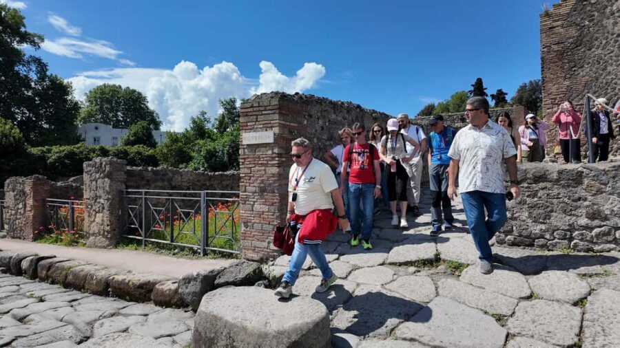 From Salerno: Pompeii Guided Walking Tour with Ticket - Tickets on your phone: plan for weak Wi‑Fi in the ruins