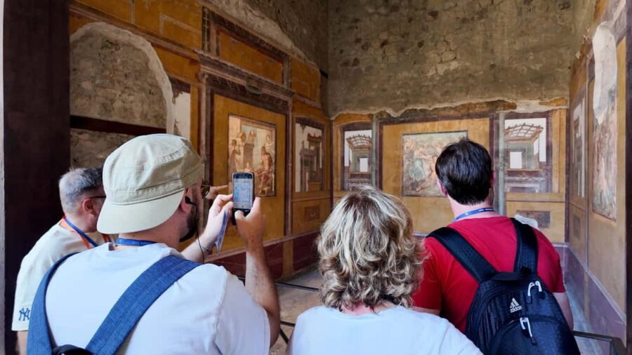From Salerno: Pompeii Guided Walking Tour with Ticket - Who this Pompeii day trip suits best