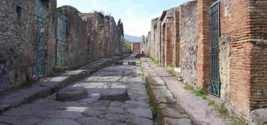 From Sorrento: Day Tour to Pompeii Ruins and Mount Vesuvius - Should You Book This Pompeii and Vesuvius Day Tour?