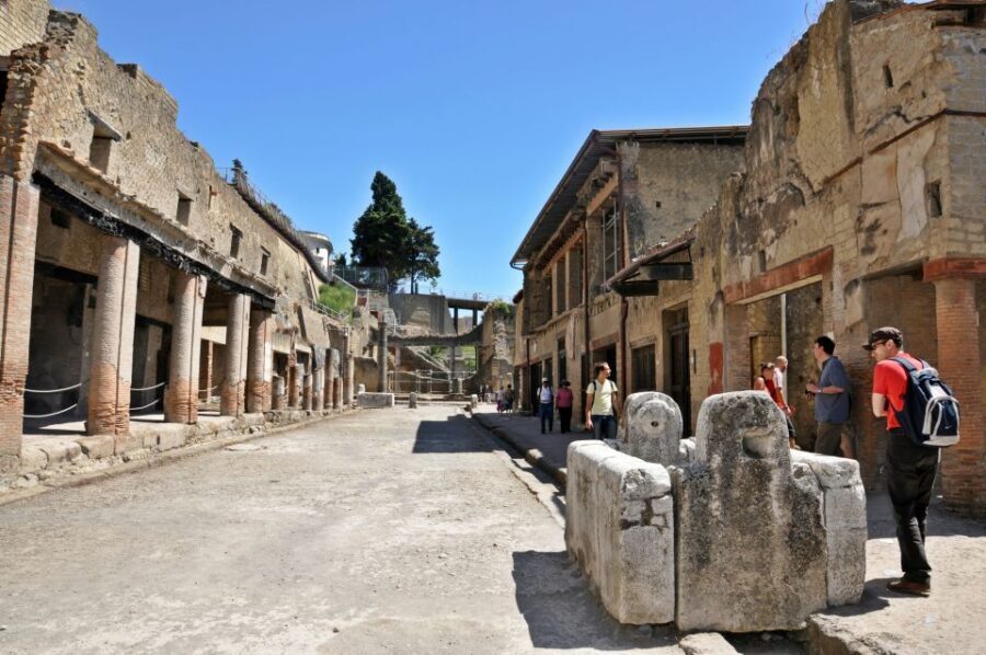 From Sorrento: Herculaneum Guided Tour with easy Lunch - The Winery Lunch Stop in Ercolano: Easy Meals, Real Views