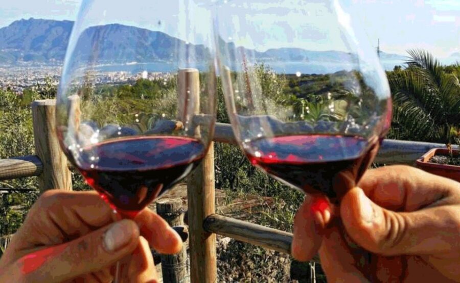 From Sorrento: Pompeii & Mt. Vesuvius Tour with Lunch & Wine - Views over the Gulf of Naples: the moment you remember