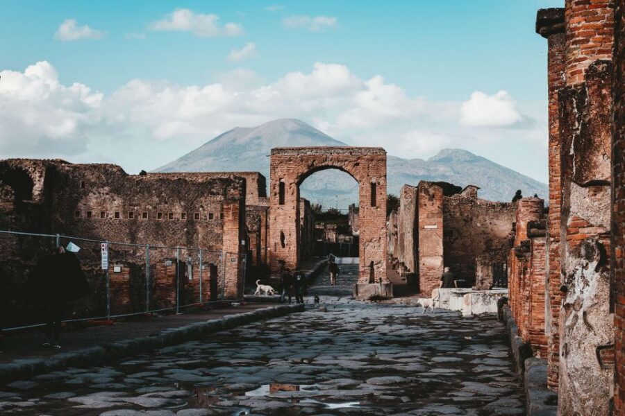 From Sorrento: Skip-the-Line Pompeii Tour and Vineyard Lunch - Key things to know before you go