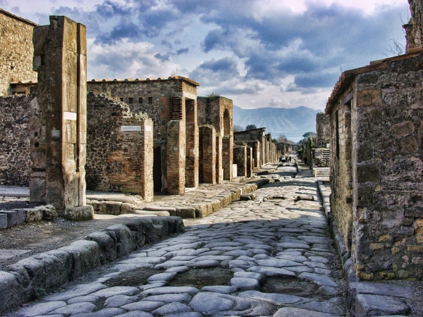 From Sorrento: Skip-the-Line Pompeii Tour and Vineyard Lunch - Price and value at about $157: who this tour fits best