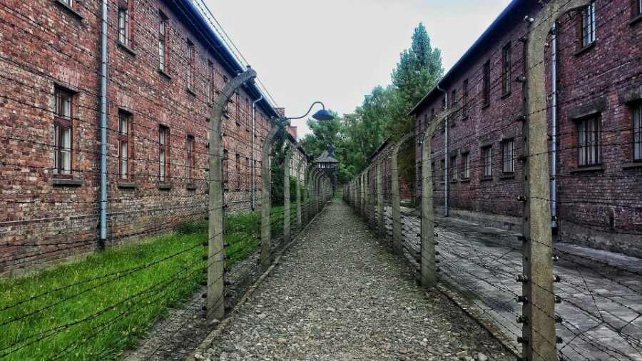 From Warsaw: Auschwitz-Birkenau Guided Tour with Fast Train - Warsaw to Auschwitz in one controlled day: the fast-train rhythm