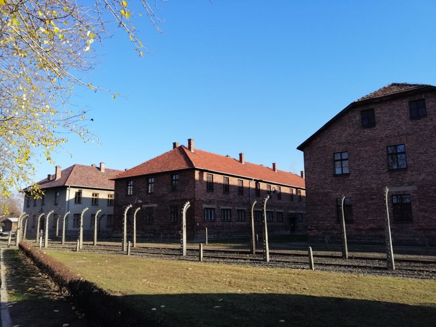 From Warsaw: Auschwitz-Birkenau Tour by Car - A Long Day, Done the Right Way: Why This Car Trip Matters