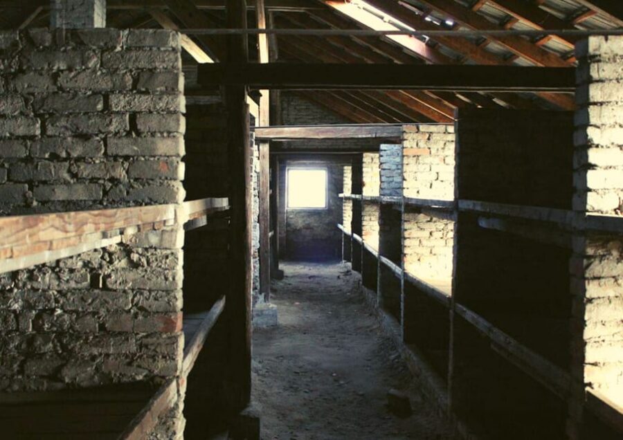From Warsaw: Auschwitz Day Tour by Private Car with Lunch - Should you book this Auschwitz-Birkenau day tour with lunch?
