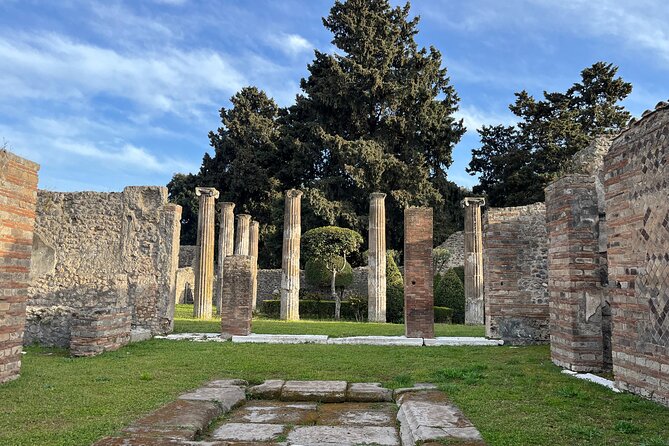 Full Day Tour to Pompeii, Vesuvius and Wine Tasting - Price and value check: what $307.39 really covers