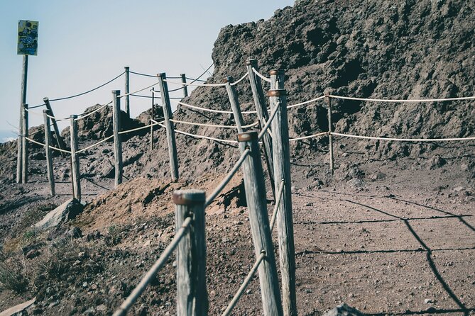 Full Day Tour to Pompeii, Vesuvius and Wine Tasting - What the day feels like in practice (and how to make it work)