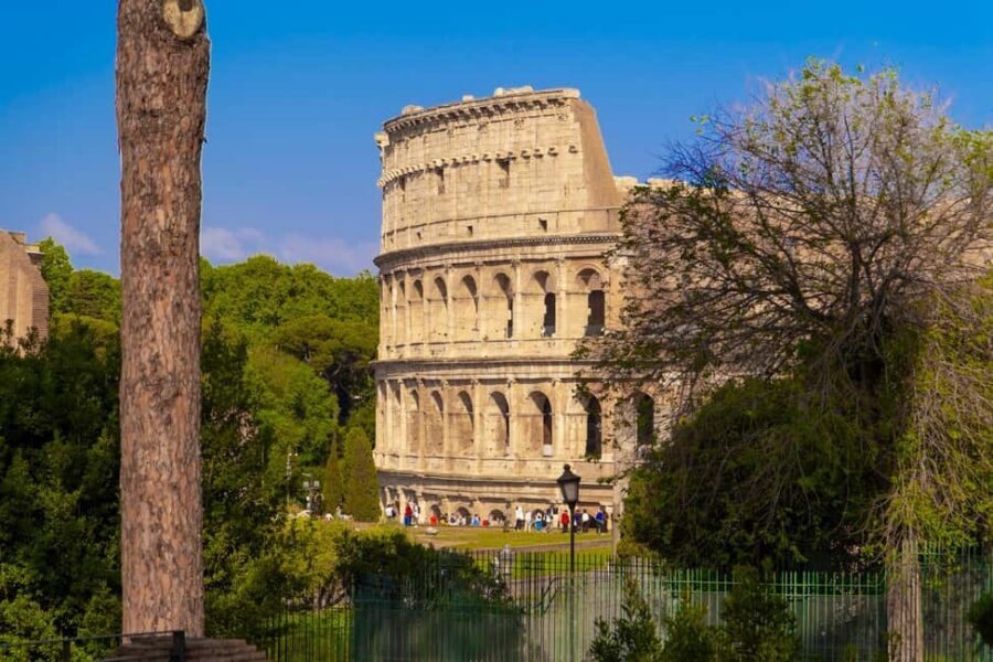 Guided Tour to the Palatine Coliseum and Roman Forum - Roman Forum: The Political Center in Walkable Pieces