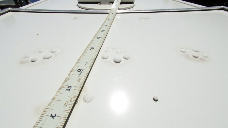 hail damage insurance essentials