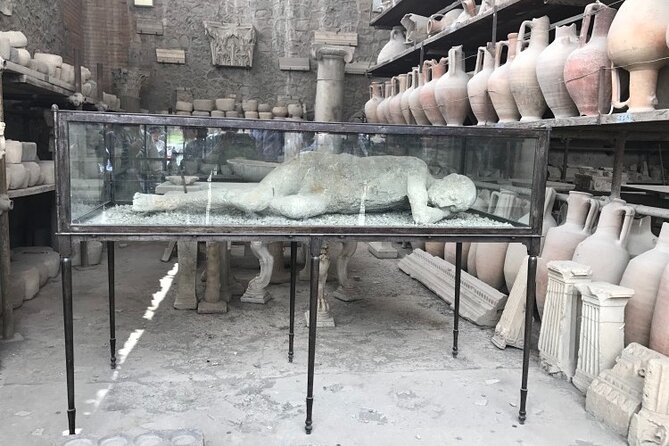Half-Day Exclusive Private Tour of Pompeii and Herculaneum - Fast-track entry and transfers: how the pacing actually works