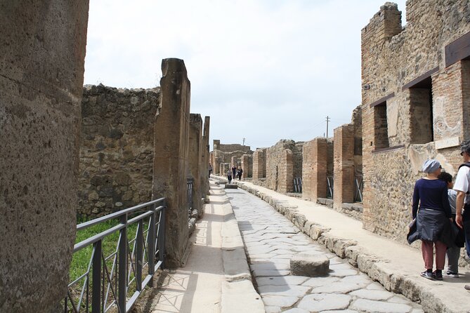 Half-Day Exclusive Private Tour of Pompeii and Herculaneum - Price and value: is $4,655.67 per person actually fair?