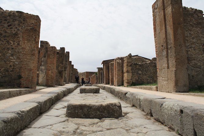 Half-Day Exclusive Private Tour of Pompeii and Herculaneum - Who should book this Pompeii + Herculaneum private tour