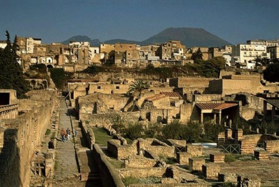 Herculaneum: 2hour Shared Guided Tour + entry tickets - Herculaneum in two hours: what the tour really delivers
