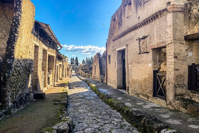 Herculaneum 3D Skip the line Walking Tour - Stop 1 at Parco Acheologico di Ercolano: your guided AR route