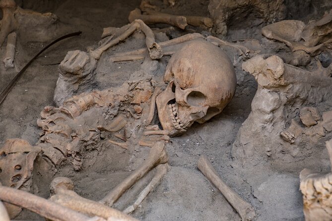 Herculaneum and Amalfi Coast Private Tour for Families - Who this tour fits best