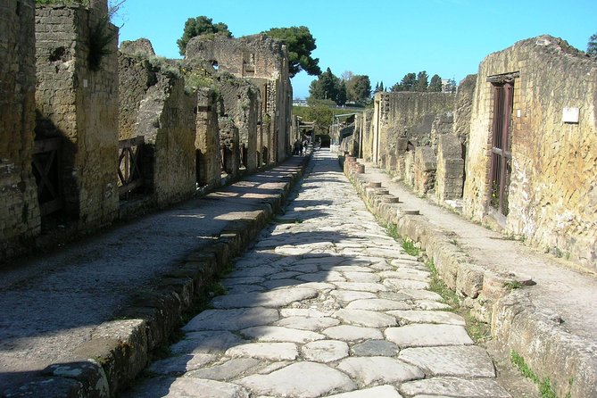 Herculaneum Guided Group Tour from Naples - The House Tour: Deer, Bicentenary, and Wood Sliding Panels