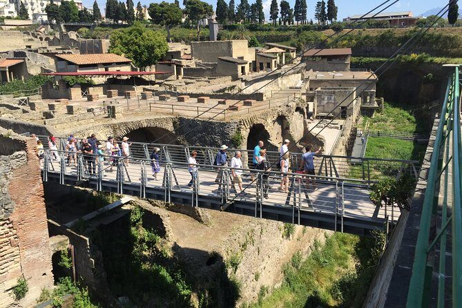 Herculaneum Private Walking Guided Tour 2 hours - Timing, meeting point, and how to plan your morning
