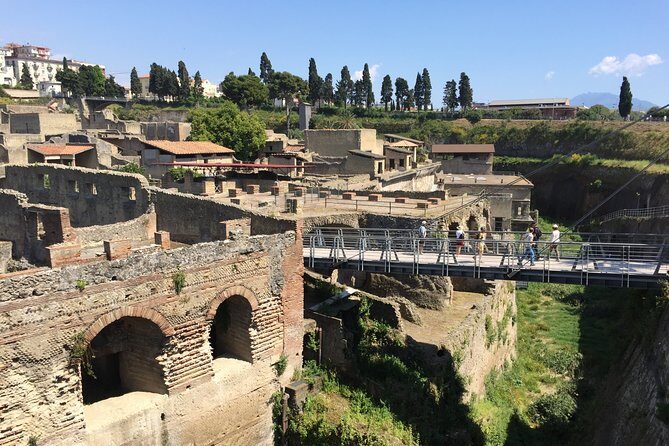 Herculaneum Private Walking Guided Tour 2 hours - Book it, or keep it DIY?