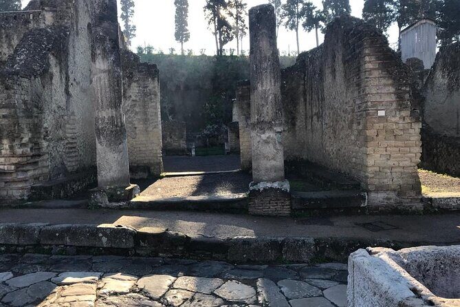 Herculaneum - Small Group Tour - Why Herculaneum feels different from Pompeii