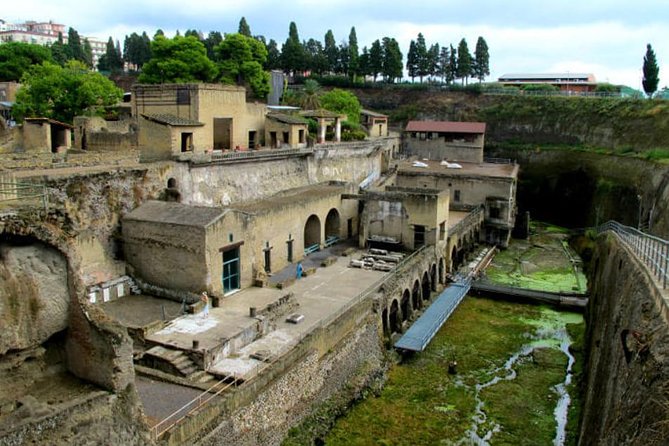 Herculaneum walking tour with a professional Guide - Getting There and What the Mobile Ticket Actually Covers