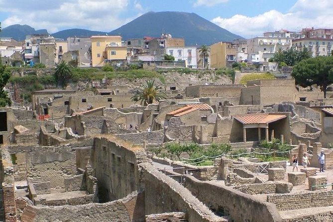 Herculaneum walking tour with a professional Guide - Your Private Guide: Staying Found and Getting Answers