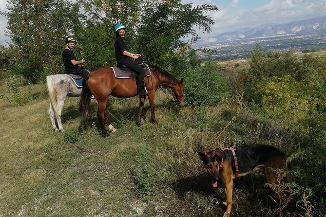 Horse Riding on Mount Vesuvius - Aperitivo at the clubhouse: local food and local wine