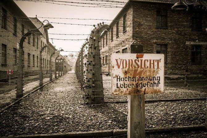 Krakow and Auschwitz Small-Group Tour from Warsaw with Lunch - A full day from Warsaw: timing, comfort, and the late return